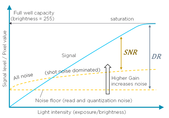 Graph which shows signal level versus light intensity. It illustrates signal to noise ratio, and dynamic range from noise floor to saturation.