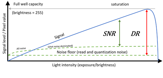 Signal and noise over light intensity