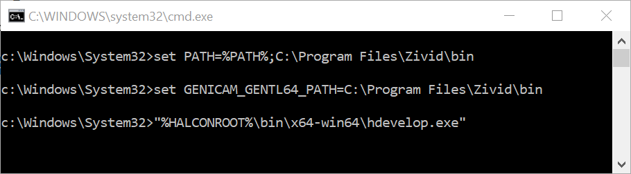 Setting variables in cmd